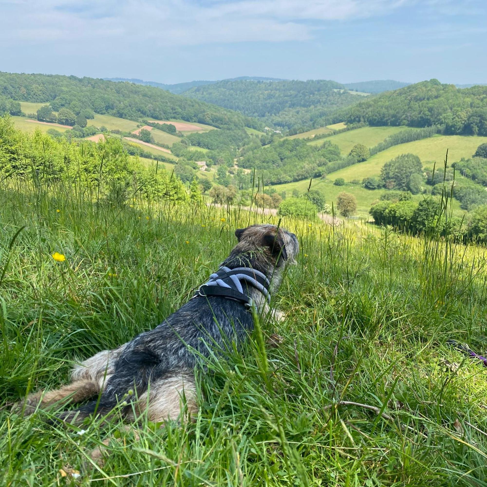 Steeple View - Romantic Wye Valley - Dog Friendly *