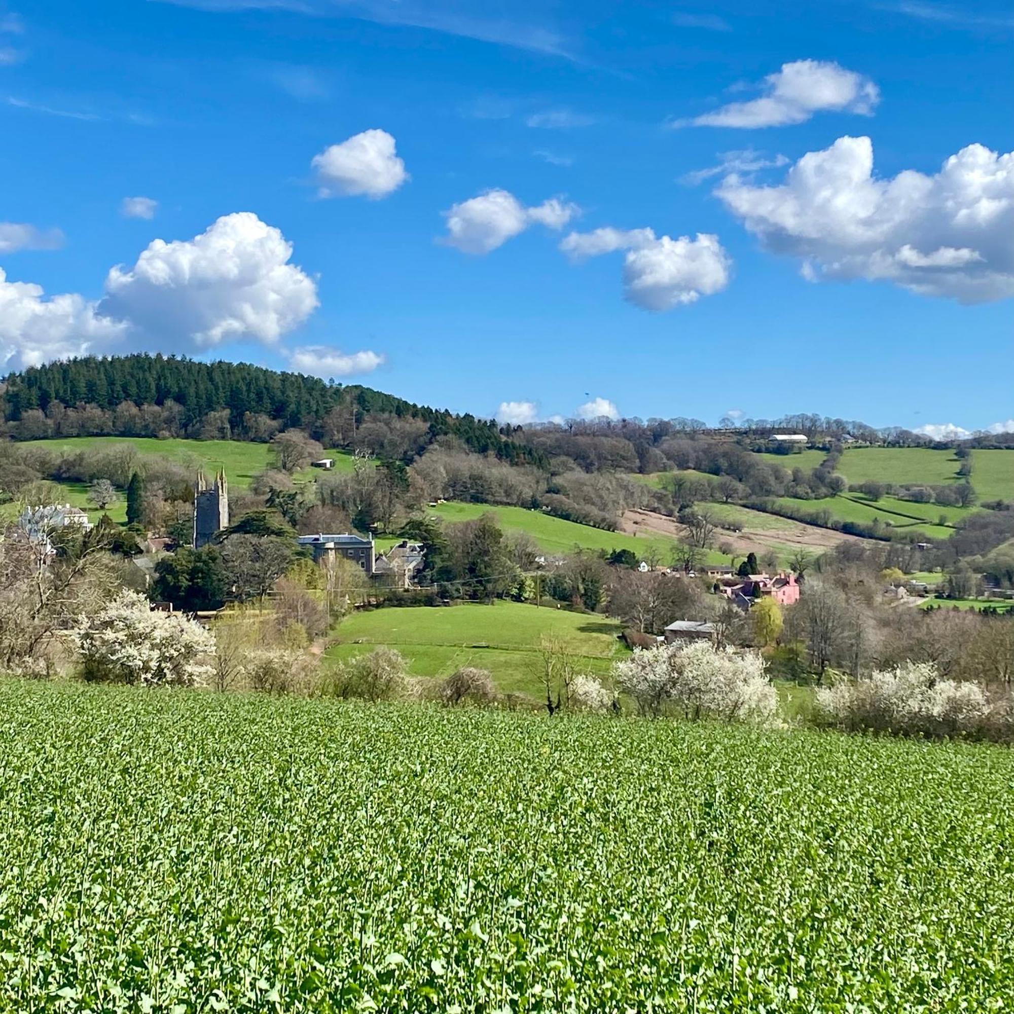 Steeple View - Romantic Wye Valley - Dog Friendly Newland