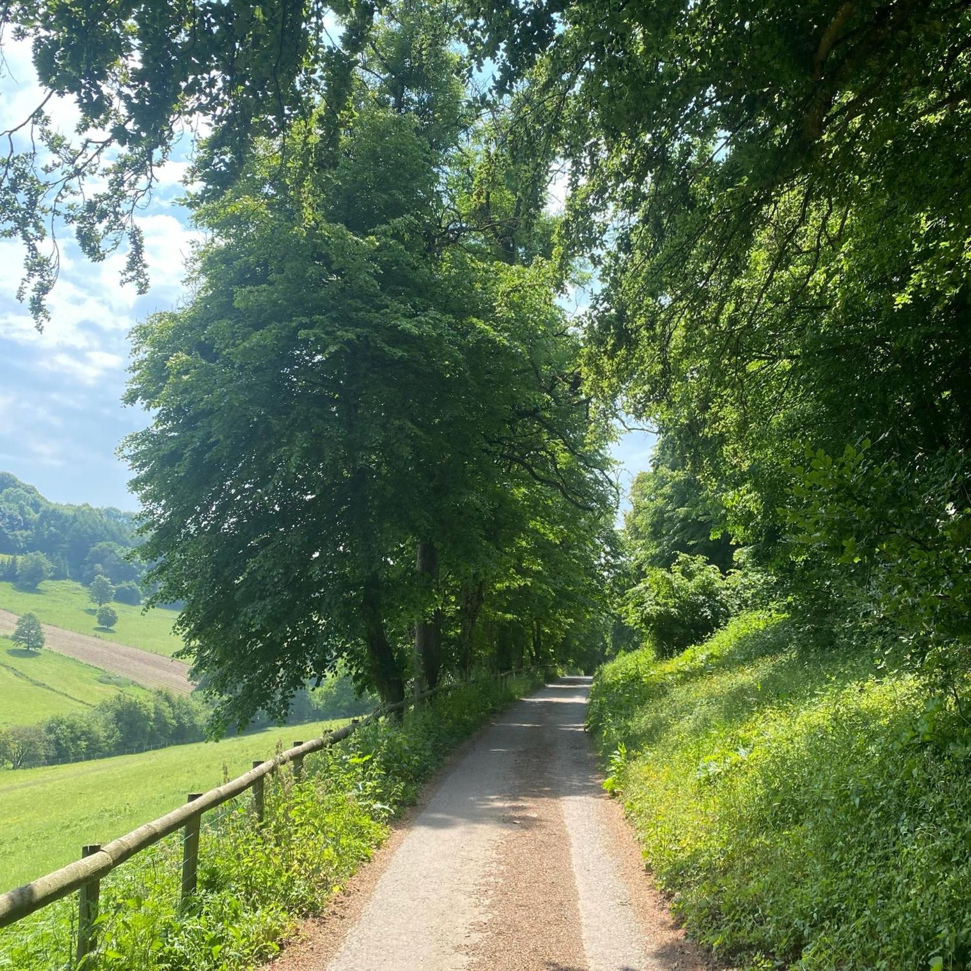 Apartment Steeple View - Romantic Wye Valley - Dog Friendly *