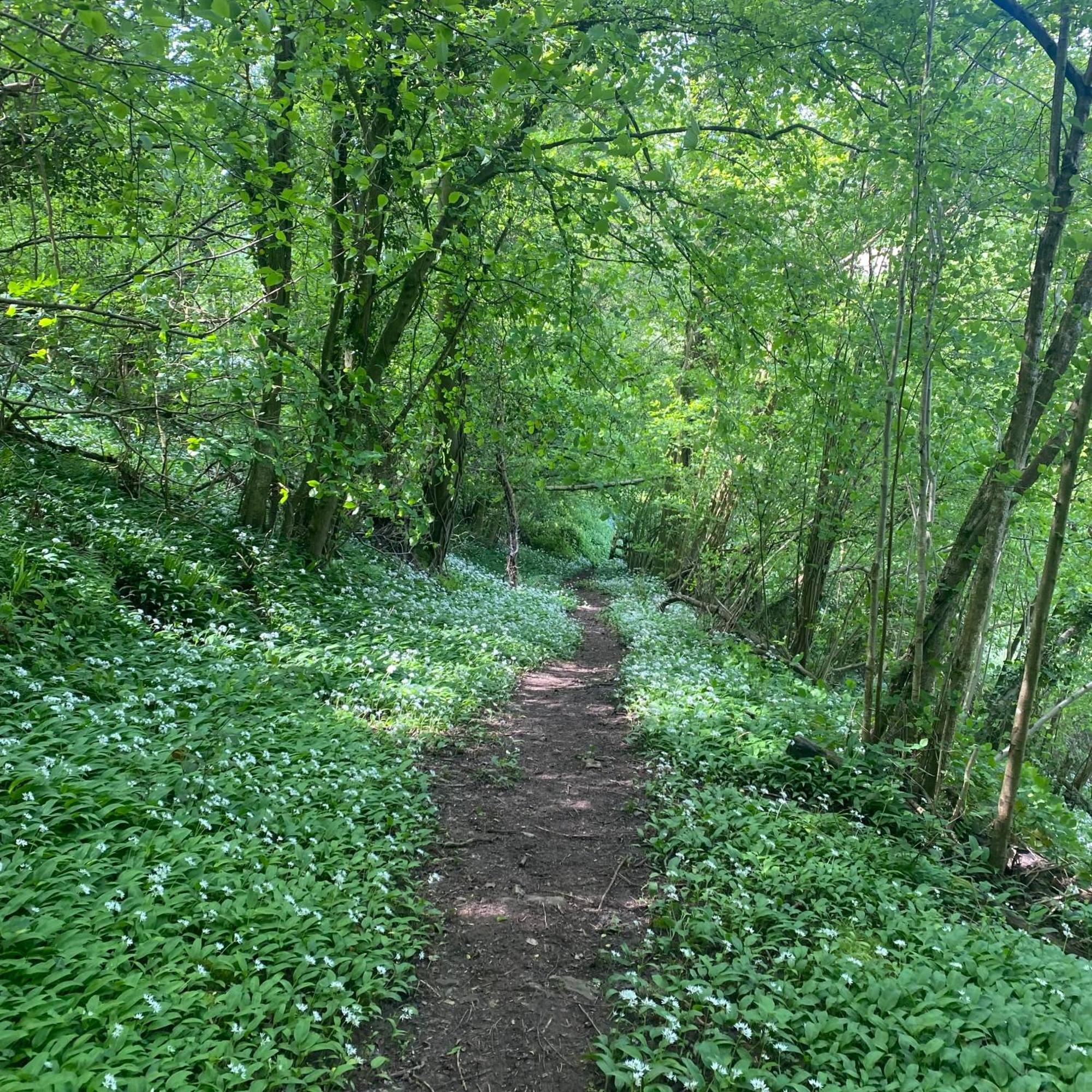 Apartment Steeple View - Romantic Wye Valley - Dog Friendly
