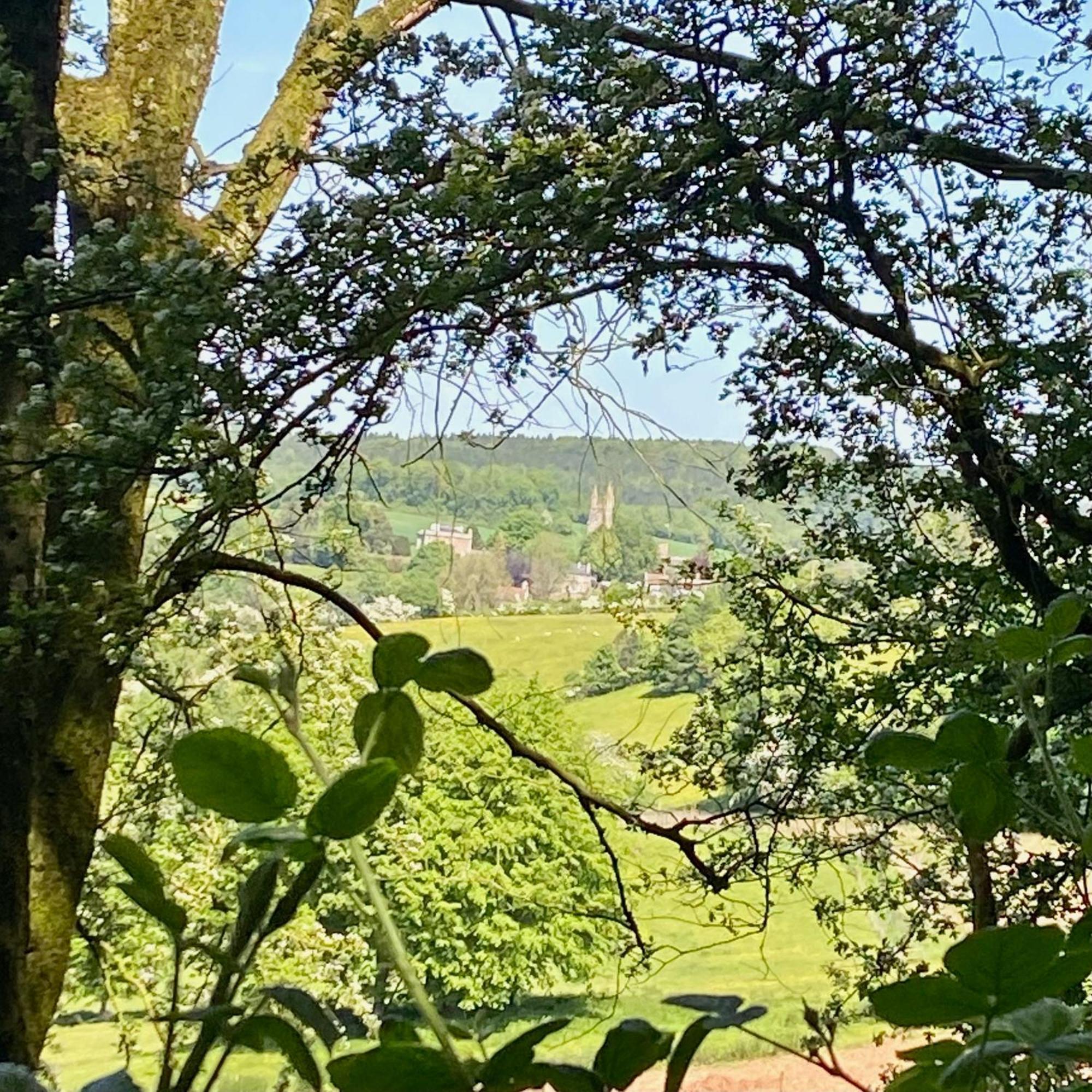 Steeple View - Romantic Wye Valley - Dog Friendly *