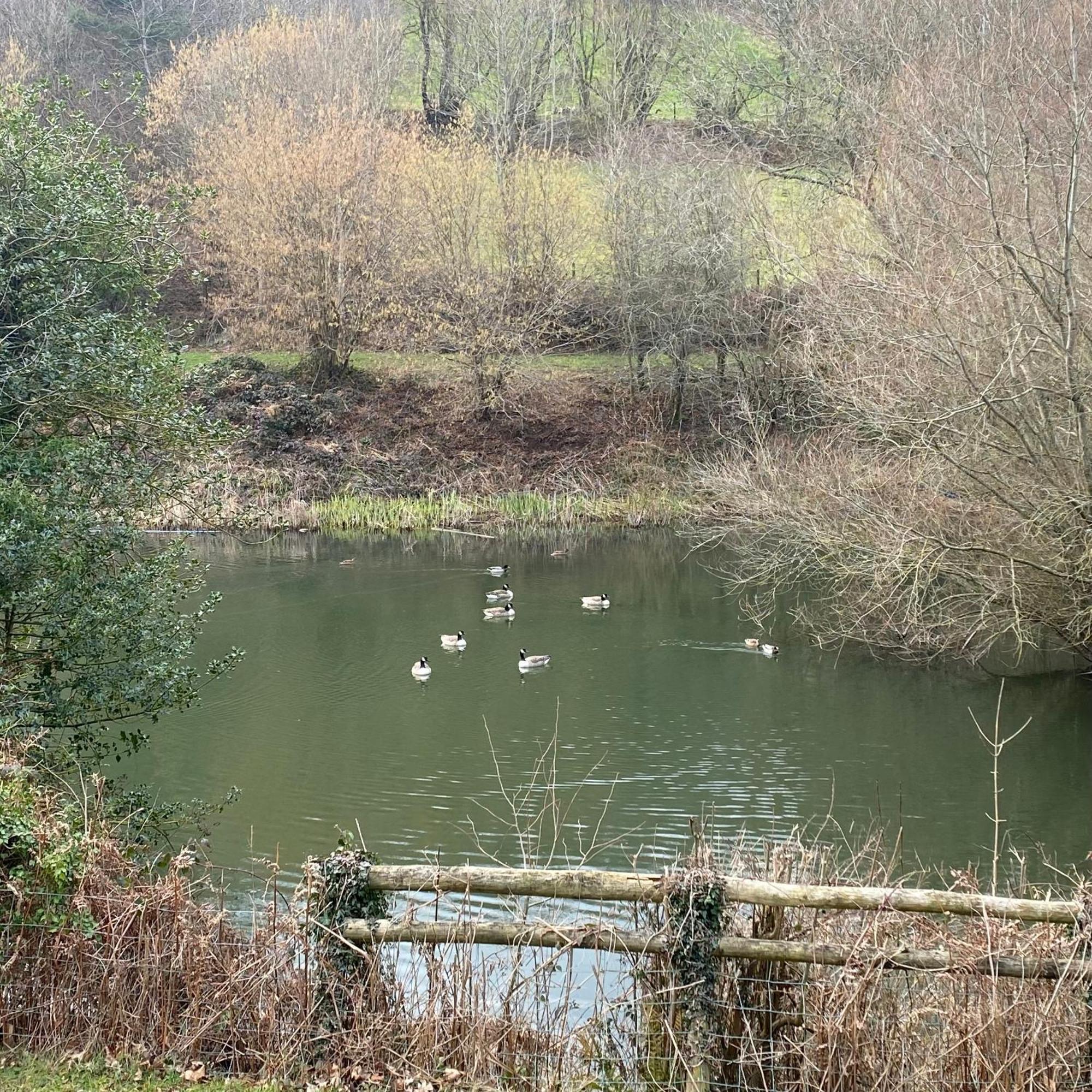 Apartamento Steeple View - Romantic Wye Valley - Dog Friendly Newland